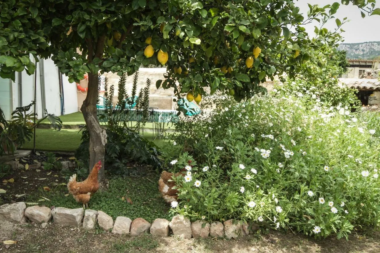 Sa Fita Backpackers - Albergue Juvenil Esporles